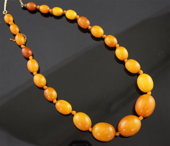 A single strand graduated amber bead necklace, 15.75in.